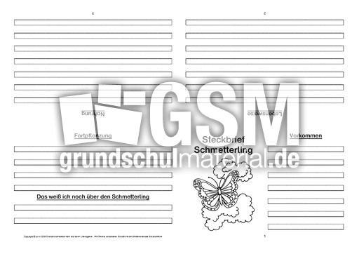 Schmetterling-Faltbuch-vierseitig-5.pdf